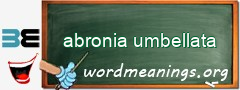 WordMeaning blackboard for abronia umbellata